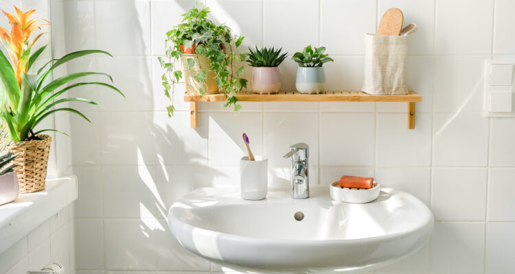 White modern bathroom in eco friendly style with many green plants