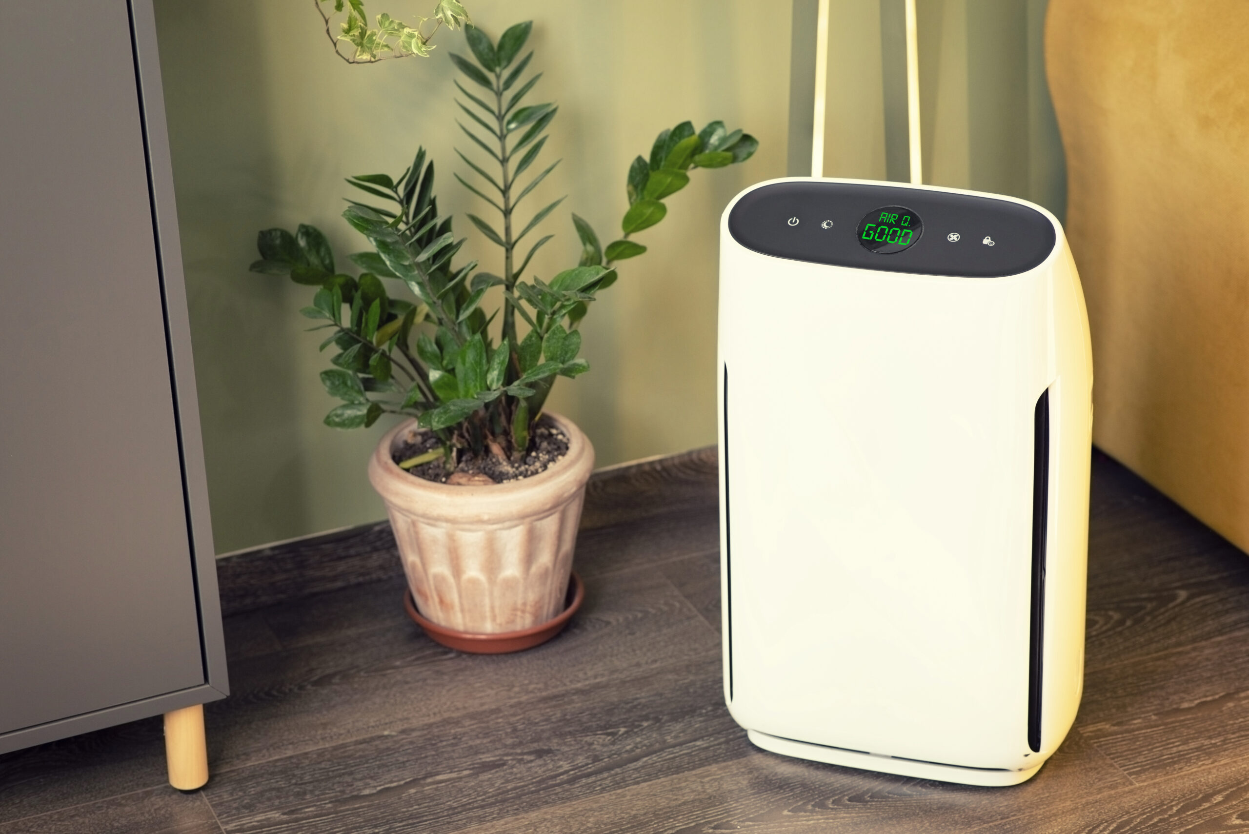 Air purifier inside a living room 