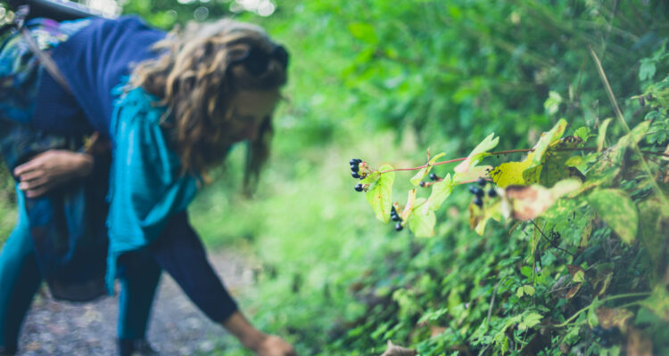 A young woman is collecting berries in the forest