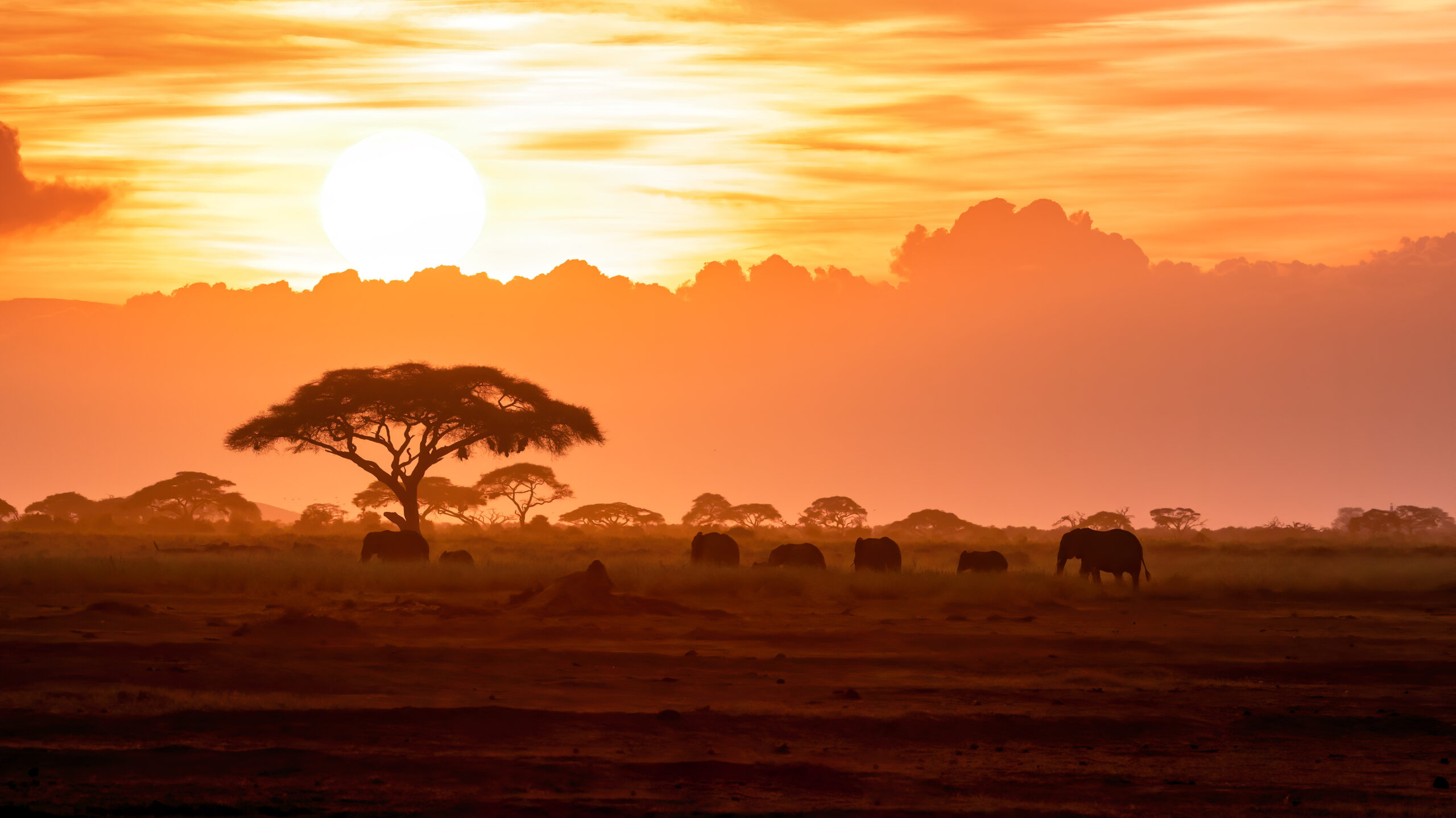 Eco-Tourism Kenya