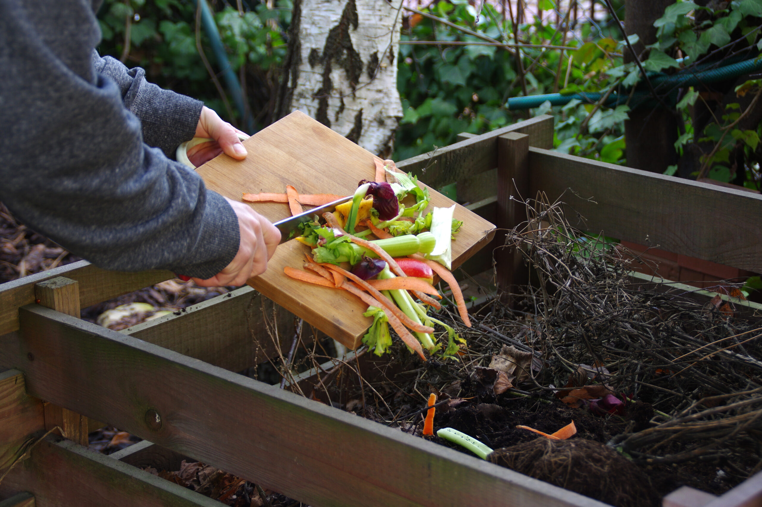 Vegetables being added to homemade compost 