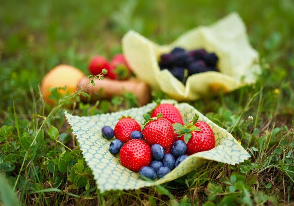 How to Have a Zero-Waste Picnic! | Vavista Car Insurance