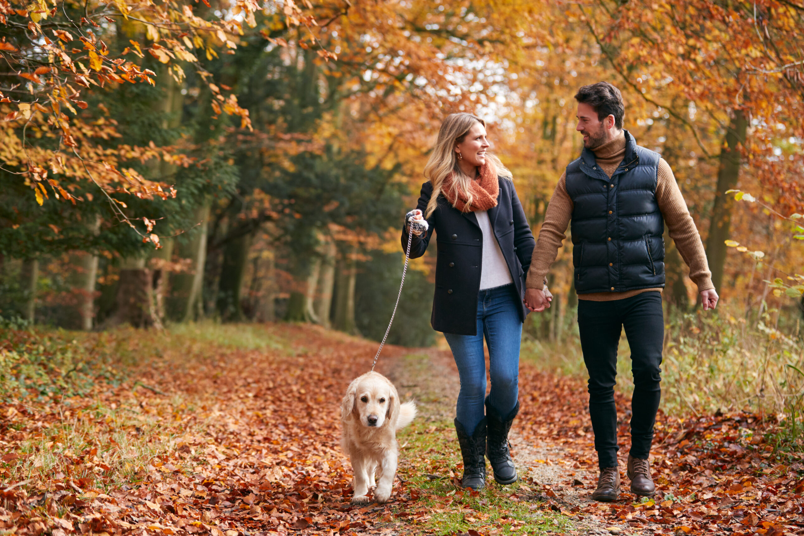 Your 30 Day Autumn Movement Challenge | Vavista Car Insurance
