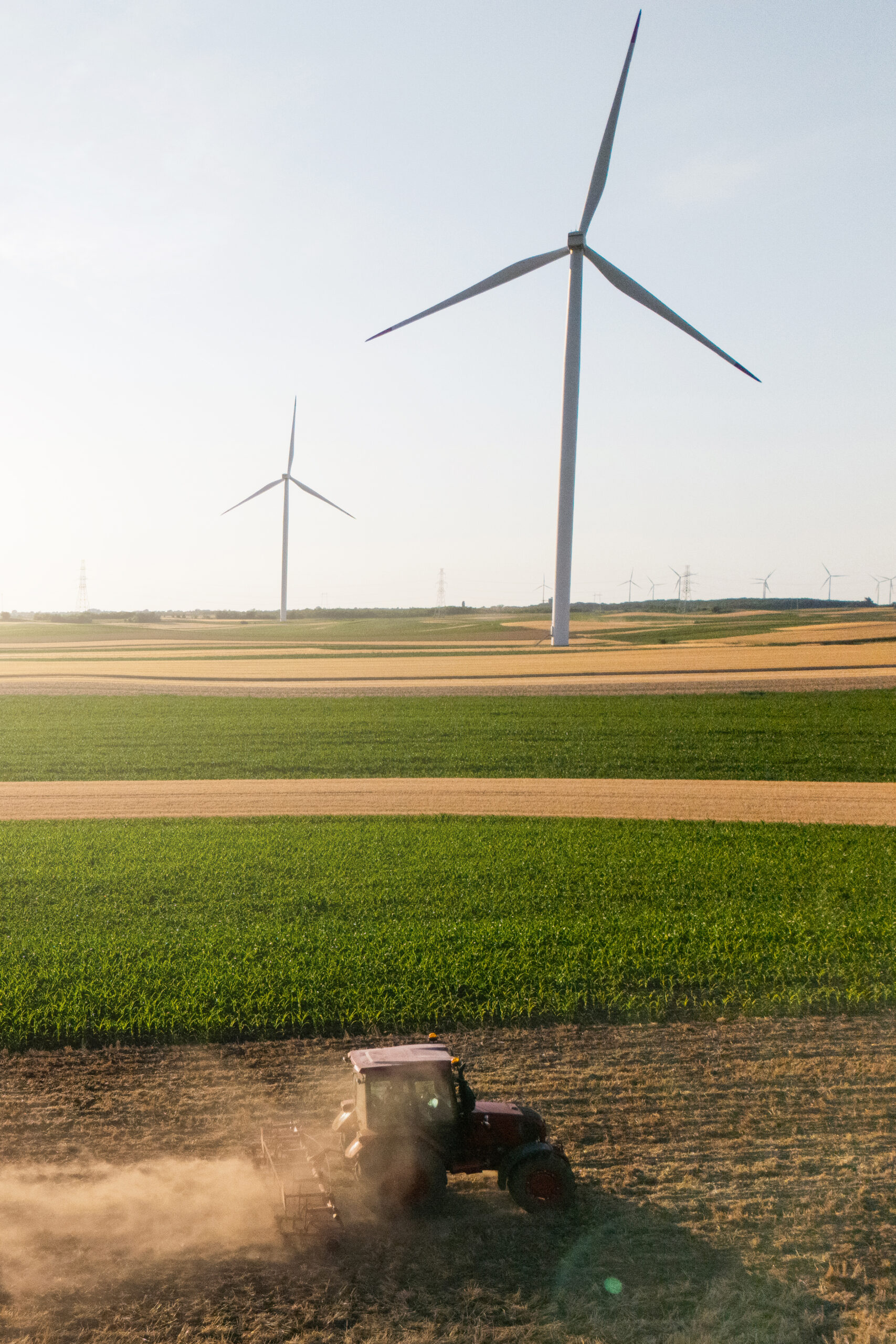 Wind turbine in a field